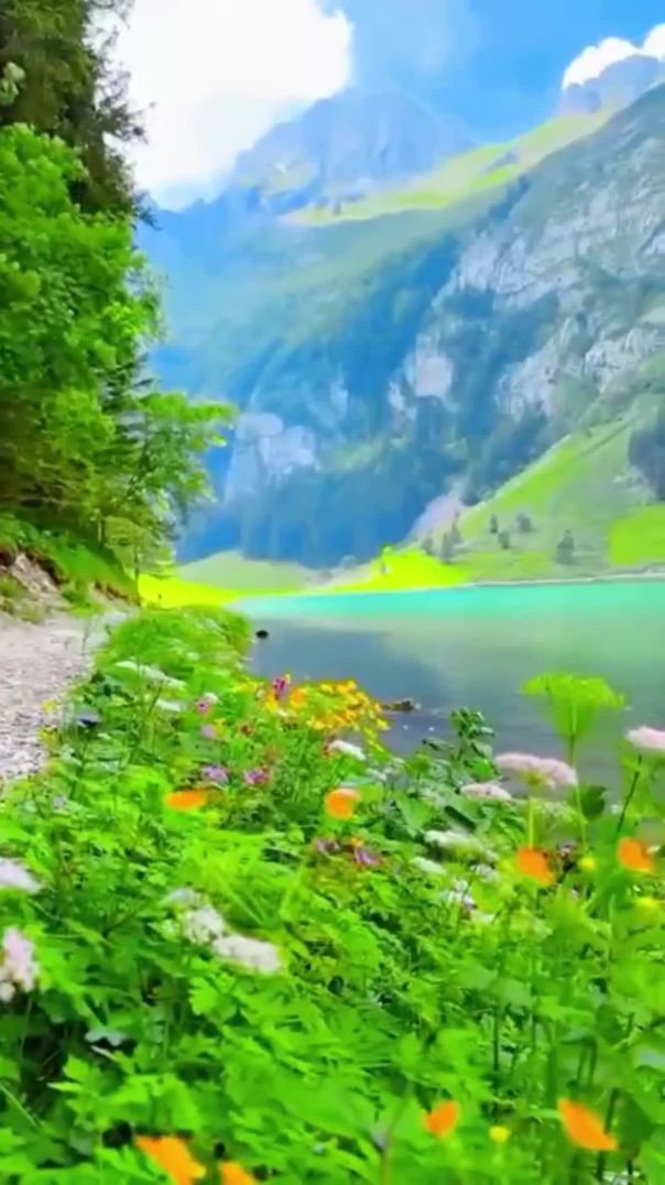 download